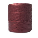 Nastro Decorativo Polyraphia XX - Foghe
